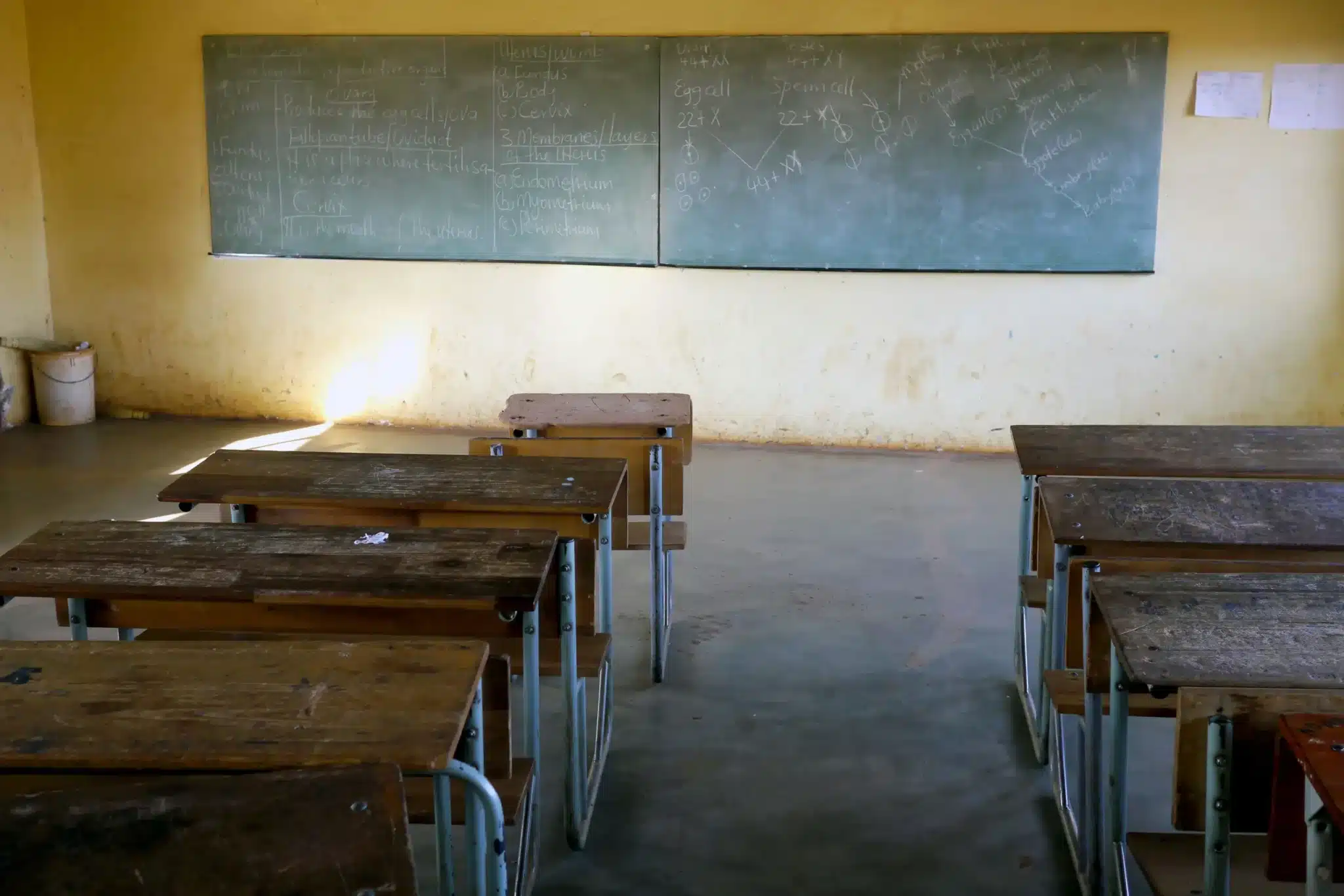 The $50 Million Question: Is Tanzania’s EdTech Revolution a Ghost Town?